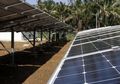 Pertamina Komitmen Bangun PLTS 1.000 MW dalam Lima Tahun ke Depan