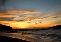 Berlabuh di Pantai Labuana, Donggala