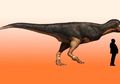 Ahli Paleontologi Tentukan Ukuran Dinosaur Cretaceous Langka