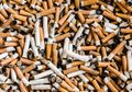Tak Hanya Sampah Plastik, Puntung Rokok Juga Berbahaya Bagi Lingkungan