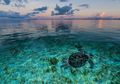 Masa Depan Seychelles