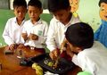 Anak-anak Madrasah Ini "Sulap" Mengkudu Menjadi Baterai Alternatif