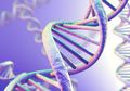 Ilmuwan Inggris Temukan Cara untuk Deteksi DNA Manusia di Udara