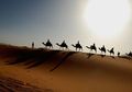 Manusia Bermigrasi Kembali ke Afrika 45.000 Tahun Lalu