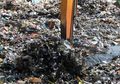Tercemar Berat, Mungkinkah Citarum Lestari?