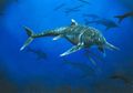 \'Wahlisaurus massarae\', Spesies Lumba-lumba Purba