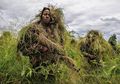 Perang Perebutan Virunga