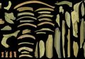 Bukti Kanibalisme: Apakah Manusia Neanderthal Memakan Satu Sama Lain?