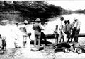 Theodore Roosevelt Membuat Piranha Memiliki Reputasi Buruk