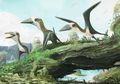 Pterosaurus Seukuran Kucing Ditemukan di Kanada