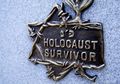 Anak-anak dari Penyintas <i>Holocaust</i> Cenderung Derita Schizophrenia
