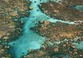 Ekosistem Terumbu Karang nan Megah Ditemukan di Lepas Pantai Hawaii