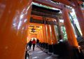 Menziarahi Kuil Fushimi Inari