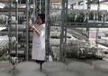 Laboratorium Pencegah Kepunahan Tumbuhan Kebun Raya Bogor