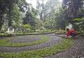 Mengagumi Taman Araceae di Kebun Raya Bogor, Tumbuhan yang Memiliki Nilai Ekonomi Amat Tinggi