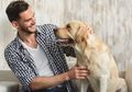 Peta Genetika Ungkap Nenek Moyang Anjing Modern