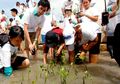 Action With Mangrove, Aksi Peduli Pesisir oleh Generasi Muda
