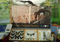 Perayaan 200 Tahun Kebun Raya Bogor