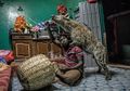 Kisah Menakjubkan tentang Manusia yang Hidup dengan Para Hiena