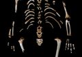 Kerangka Bocah Neanderthal Buktikan Manusia Modern Tak Seunik yang Diduga Sebelumnya