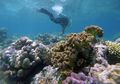 Kepulauan Selayar Jadi Tuan Rumah Pertemuan Nasional Jaringan Cagar Biosfer Indonesia