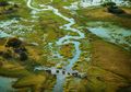 Misi Delta Okavango Afrika