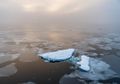Permafrost Arktik Meleleh, Jutaan Galon Merkuri Bisa Lepas ke Lautan