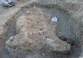 Fosil Monster Laut dari Era Dinosaurus Ditemukan di India