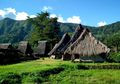 Wologai, Kampung Adat Berusia 800 Tahun