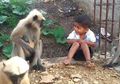 Mungkinkah Manusia Bersahabat dengan Monyet dan Primata Lain?