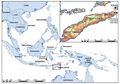 Pulau di Indonesia Ini Ditemukan Sangat Kaya Akan Lukisan Gua