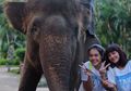 Ternyata, Begini Tren Foto Liburan Ala Generasi Milenial