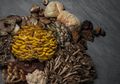 Jamur, Calon Makanan Super di Masa Depan