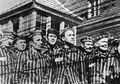 Studi: Ada 15 Ribu Yahudi yang Dibunuh Per Harinya Saat Holocaust