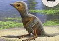 Fosil Purba Berumur 127 Juta Tahun Ungkap Evolusi Burung