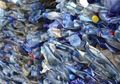 PRO, Solusi Penanganan Masalah Sampah Kemasan di Indonesia