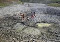 Upaya Pemulihan Sungai Gangga di India yang Sudah Sangat Tercemar