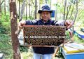 Produksi Berton-ton Madu & Ekspor Bumbu Pecel ke Arab Saudi (1)