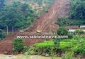 Longsor di Perkebunan Lereng Kamojang