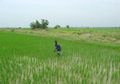 Bukti Kekuatan Perempuan Ada di Setiap Sektor, Perempuan Petani Juga Butuh Dukungan Pendanaan