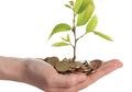 Ini 3 Ciri Investasi Bodong dan Cara Menghindarinya!