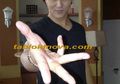 Demian: Kami Kurang Baik Saat Berpisah