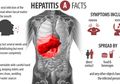 Lengkap! Kenali Penyebab Penularan dan Penanganan Virus Hepatitis A