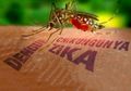 Seorang Warga Indonesia di Singapura Dikabarkan Terjangkit Virus Zika!