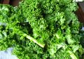 Kandungan 11 Vitamin dan 9 Nutrisi pada Sayur Kale
