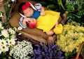 Lucu Menggemaskan, Foto ‘New-Born Baby’ Putri Cilik Nindy Ayunda