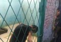 Astaga, Seorang Penghuni Panti Jompo Terpaksa Makan Kecoa