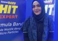 Nyamuk Masih Muncul di Rumah Kita? Ini Dia Tips Ampuh Basmi Nyamuk dari Lula Kamal