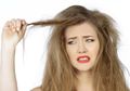 Rambut Kering Bisa Merusak Penampilan, Coba Yuk Manfaatkan Putih Telur Menjadi Masker untuk Mengatasinya