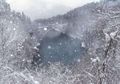 Fotografer Ini Abadikan Jepang yang Diselimuti Salju, Berasa di Narnia!